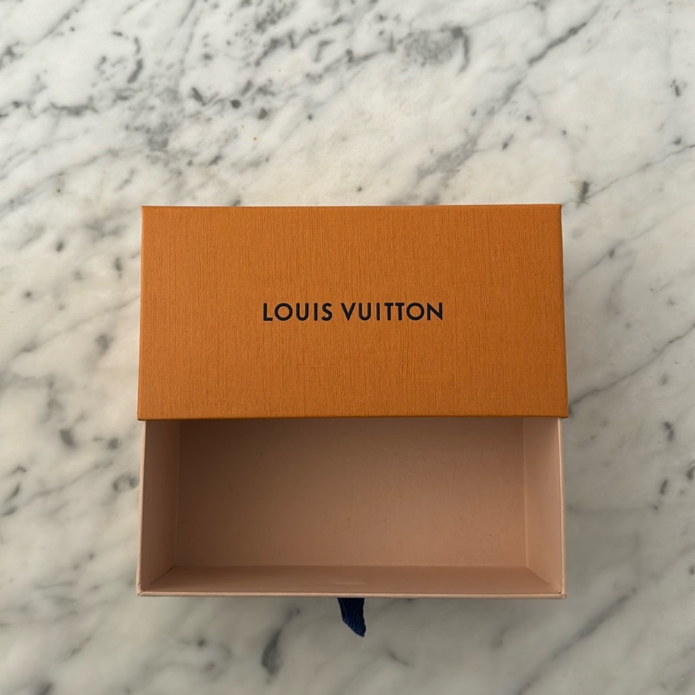 Louis Vuitton glasses bag